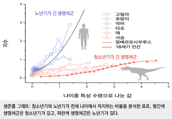 공룡 생명표