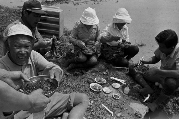 1984년, 경기도 화성군 향남면 평지의 농민들이 새참으로 밥대신 짜장면을 먹고 있다.