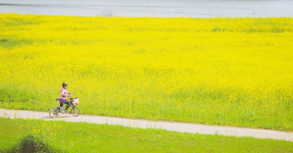 지난 4월 유채꽃이 핀 전남 광양시 섬진강 자전거길을 따라 한 아이가 자전거를 타고 있다.