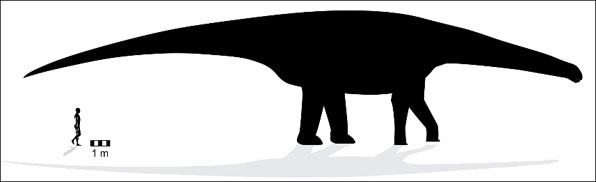 이 초식 공룡은 키가 5.4m에 이를 것으로 추정된다.