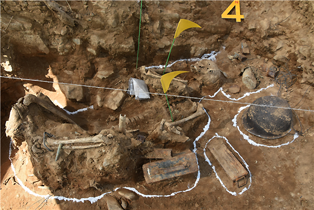 5월 15일 발굴된 국군 전사자 추정 완전유해와 유품들 [사진 제공 : 국방부 유해발굴감식단]