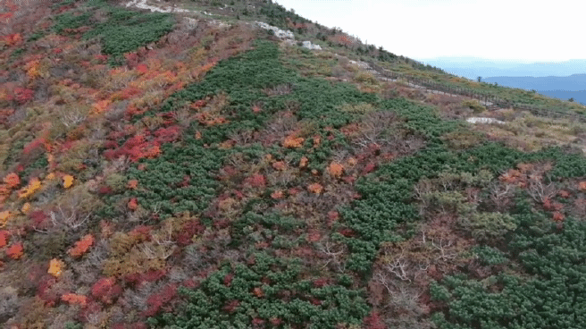 설악산 중청대피소 인근(해발 1,676ｍ)에서 촬영한 대청봉 (사진제공 : 기상청)