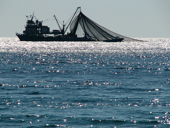 소말리아 앞바다에서 원양 어선들이 벌이는 저인망식 조업은 이 지역 어민들의 삶을 위협하고 있다.