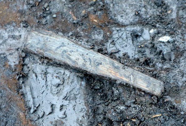 집수시설 개흙층에서 발견된 삼국시대 목간.