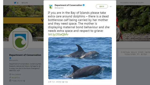 뉴질랜드 환경 당국이 트위터에 올린 글과 사진