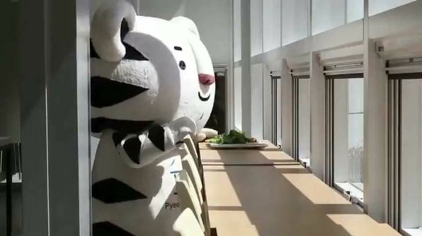 평창동계올림픽 조직위가 소셜 미디어를 통해 공개한 ‘혼밥 수호랑’ 영상 캡처