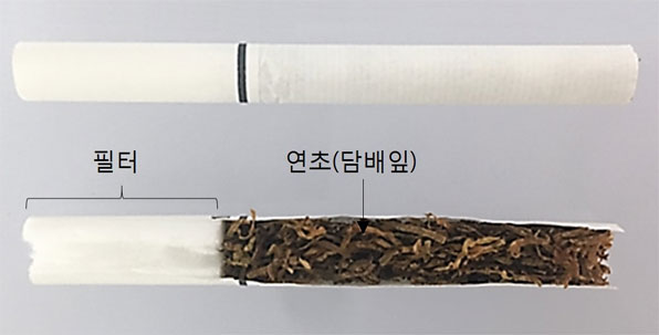 궐련담배 내 연초 첨가물 성분 분석