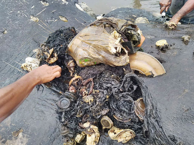 위 사진은 고래 위장 속에 쌓여있던 플라스틱 등의 쓰레기이다. 인구 2억6천만명의 인도네시아는 연간 320만t의 플라스틱 쓰레기를 배출하고 있으며, 이 중 129만t이 바다로 흘러들고 있다.