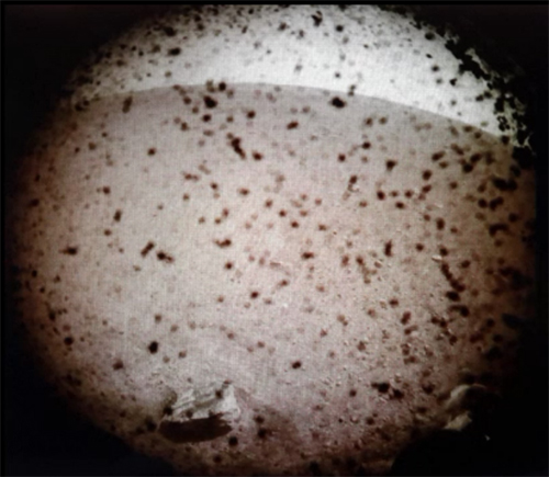 NASA 무인탐사선 ‘인사이트호’와 함께 보내진 소형 위성 ‘마르코’에서 촬영한 첫 화성 사진