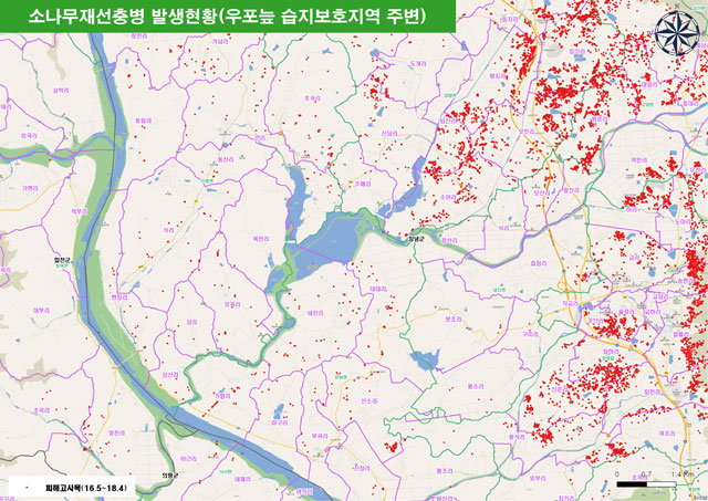 우포늪 주변 재선충병 발생 현황. 피해 고사목의 위치가 빨간 점으로 표시돼있다. (자료 제공: 산림청)