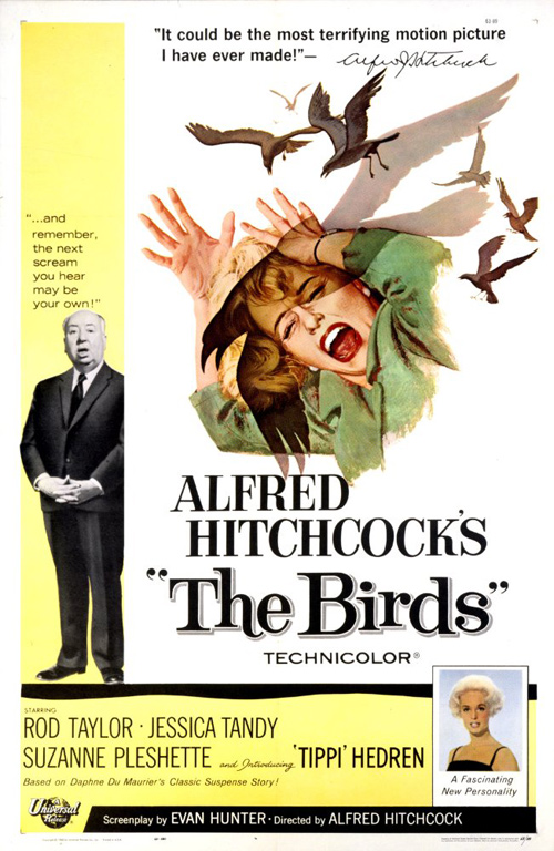 앨프레드 히치콕 영화 ‘새‘ 포스터 [사진 출처 : www.imdb.com]