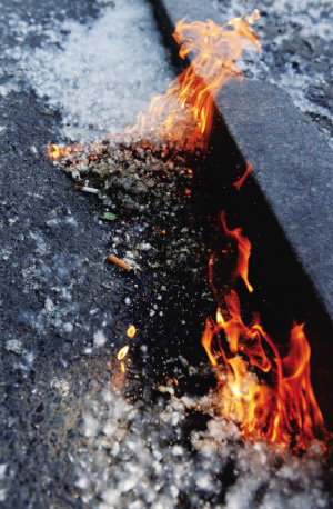 꽃가루에는 식물성 유분(油分)이 들어 있어 작은 불씨에도 불이 잘 붙는다.