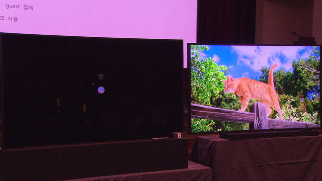 삼성전자가 지난 17일 개최한 TV설명회에서 자사의 QLED 8K TV(오른쪽)과 LG전자의 OLED 8K TV(왼쪽)의 8K용 동영상 재생력을 비교 시연한 장면