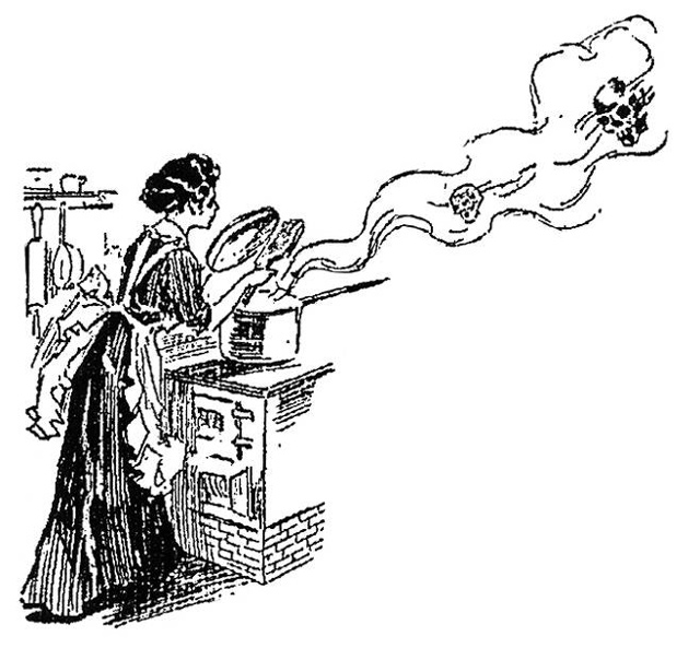 메리 맬런을 마녀처럼 형상화한 1909년 〈뉴욕 아메리칸〉 삽화. 출처: 〈위험한 요리사 메리/돌베개〉