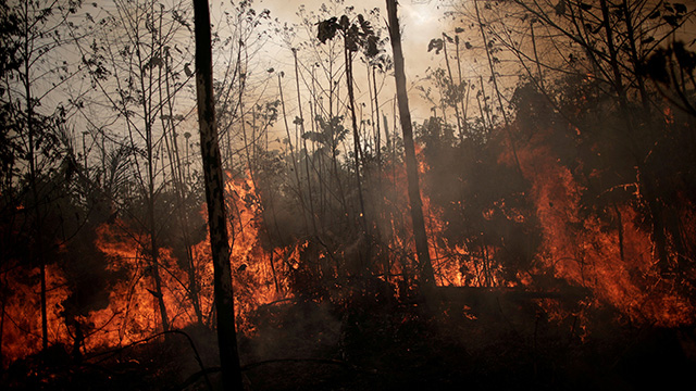 브라질 포르투벨루에서 불법 벌목업자들의 방화로 아마존 열대우림이 불타고 있다. [사진 출처 : 로이터=연합뉴스]