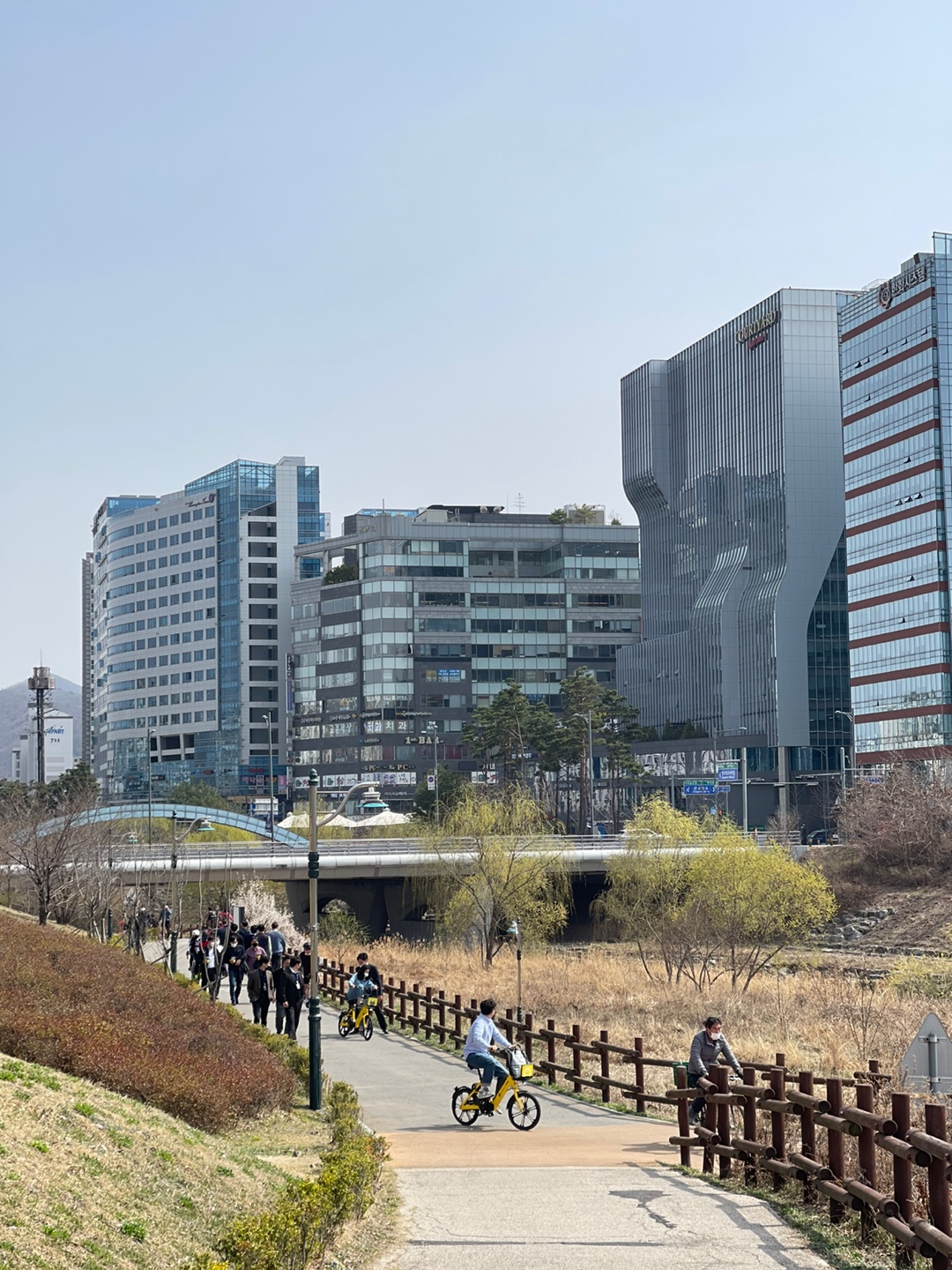 3월 19일 판교역 인근의 회사원들은 점심시간을 이용해 개천 주변을 따라 산책을 하거나 자전거를 탄다. 
