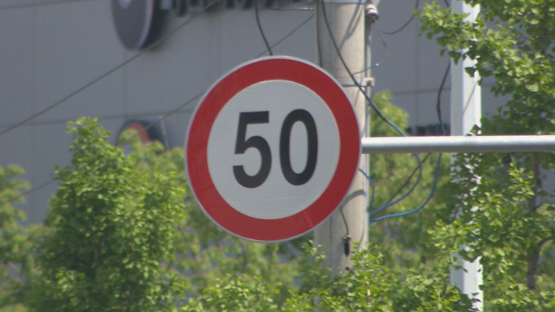 부산 시내 주요 도로에 설치된 제한속도 시속 50km 안내 표지판.