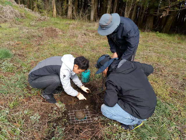 지난 4월 연구팀이 비자림로 공사 구간에서 생태 조사를 하고 있다. 비자림로 시민모임 제공