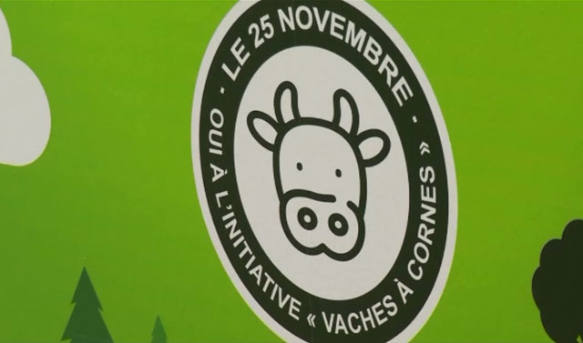 ＜11월 25일 ‘소들에게 뿔을’ 이니셔티브에 찬성표를 던져주세요＞ 캠페인