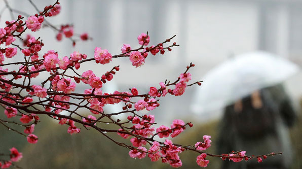 부산 남구 유엔공원