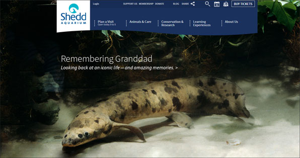 셰드 아쿠아리움 측은 그랜드 대드의 죽음을 추모하는 홈페이지를 만들었다.