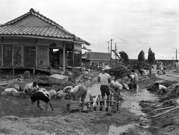 1961년 - 영주수해지구 피해복구 현장