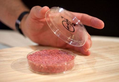 모사미트 설립자인 마크 포스트 교수가 개발한 인조소고기로 만든 햄버거용 패티