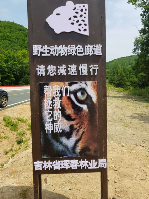호랑이 국가 공원내 도로 곳곳에는 야생동물을 위해 감속하라는 표지판이 설치돼 있다