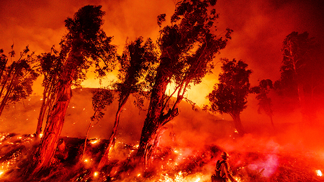 미국 캘리포니아·오리건·워싱턴주 등에서 발생한 대형 산불로 11일 기준(현지 시간) 사망자가 15명 발생했다. 산불 발생 지역 인근에 거주하는 주민 50만 명 이상에게 대피령도 내려졌다. 출처: AP=연합뉴스
