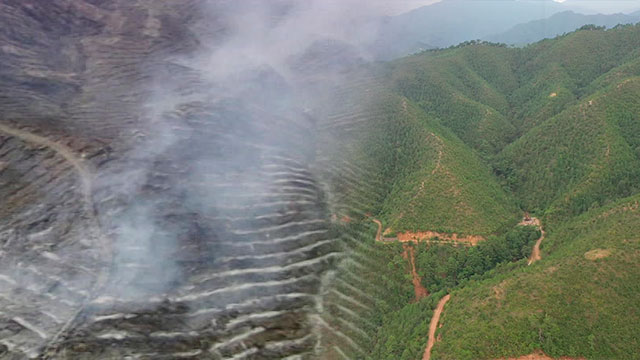 2000년 동해안 산불 피해 지역에 대해 17년째 산림복원이 진행되고 있다.