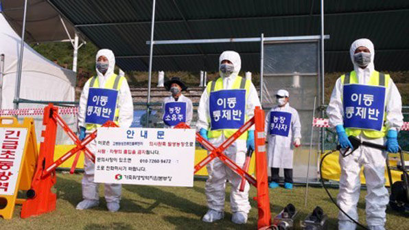 서산 간월호·천수만 야생조류 분변서 AI바이러스 검출
