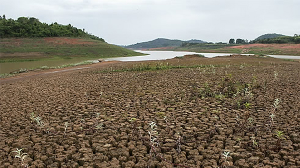 브라질 북동부 지역 6년째 극심한 가뭄…사막화 빠르게 진행