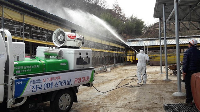구제역 첫 발생지 안성 이동제한 해제…발생지 3㎞ 이내는 제외