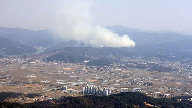 경기 안성시 금광면 야산서 불