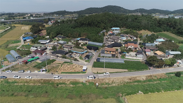 전북 정읍 정우면 양지마을