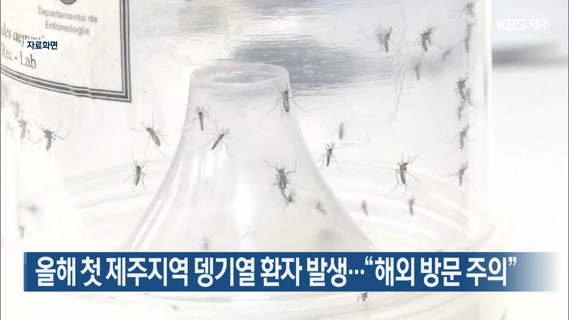 Surge in Dengue Fever Cases: Jeju Reports First Case