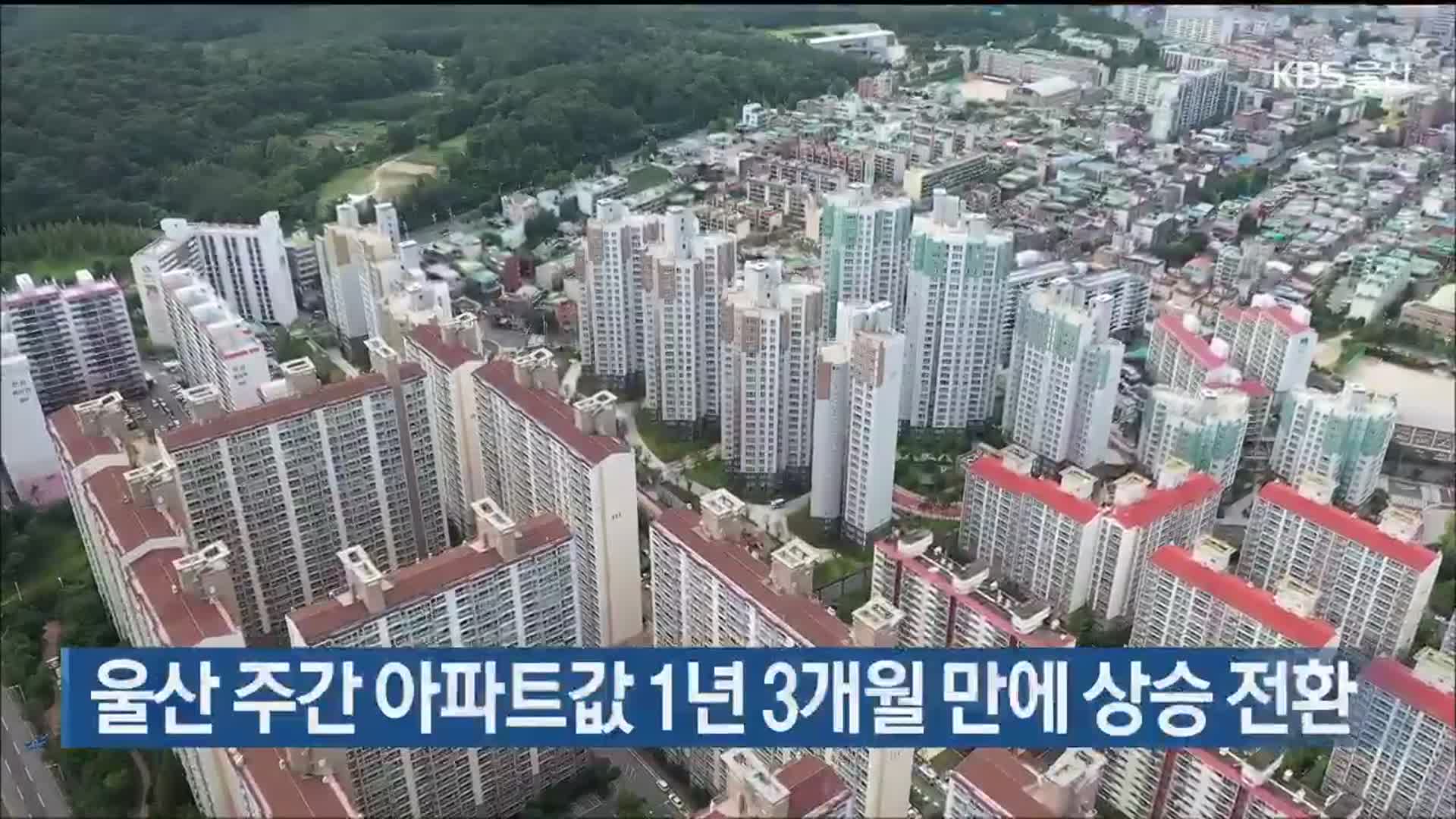 Ulsan Apartment Prices Increase in August – Latest Trends and Analysis