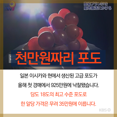 일본, 포도 한 송이에 천만 원