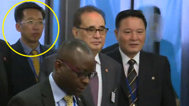 2016년 4월, 리태성 당시 외무성 부국장은 리수용 외무상을 수행해 미국에 있는 UN 본부를 방문했다.