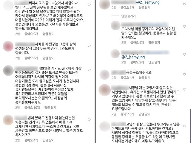 이재준 고양시장의 SNS 게시물에 달린 댓글. [사진 : 이재준 시장 인스타그램 화면 캡처]