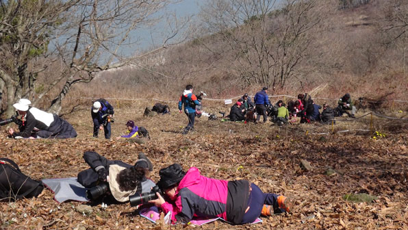 야생화를 촬영하는 사람들. 무분별한 훼손이 풍도 야생화의 위기를 가져온다.