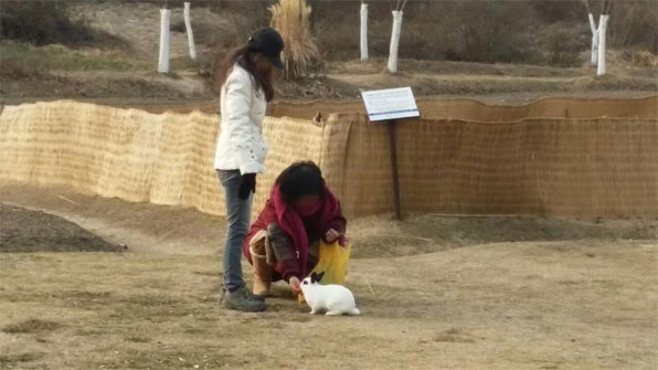 올림픽공원에서 토끼에게 먹이 주는 시민