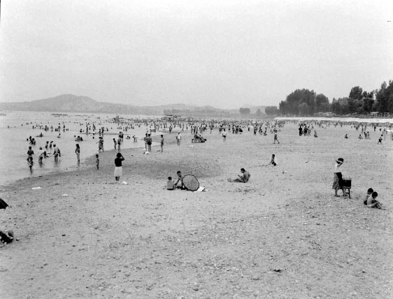 1962년 뚝섬유원지의 여름 풍경