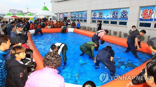 속초도루묵 축제가 지난 11월 18일 속초수협 수산물산지거점유통센터(FPC)에서 열렸다. 관광객들이 살아있는 도루묵을 맨손으로 잡으려고 안간힘을 쓰고 있다.