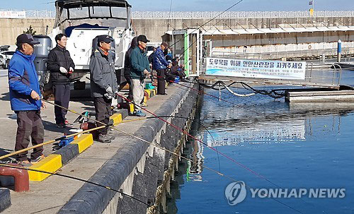 도루묵을 잡기 위해 동해안에는 많은 낚시꾼들의 발길이 이어지고 있다. 낚시꾼들이 도루묵을 낚기 위해 강릉항 포구에 줄지어 낚싯대를 드리우고 있다.