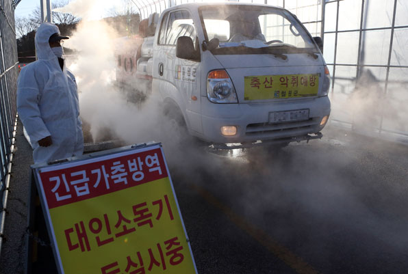 한 자치단체가 도로에 통제소를 설치해 지나가는 차량에 대해 소독을 실시하고 있다. 하지만 일부 자치단체에서는 통제소에 인력을 배치하지 않았거나 엉뚱한 곳에 통제소를 만들어 AI 초기 방역에 실패했다. 