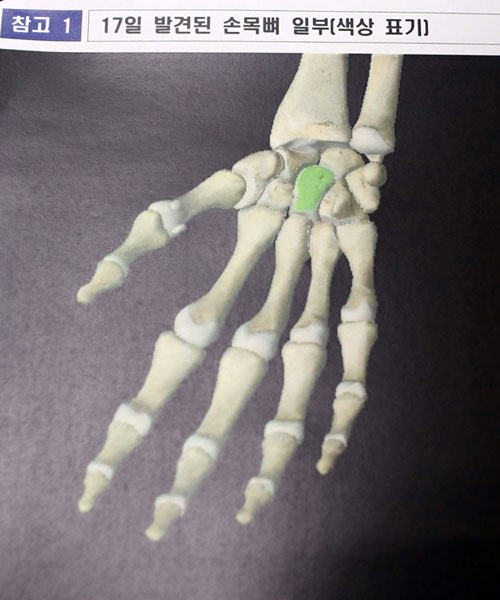 해양수산부가 23일 공개한 세월호 현장서 발견된 사람 손목 뼈 추정 유골 부위.