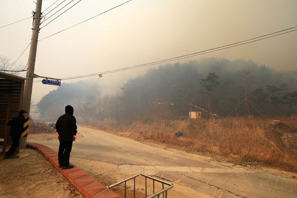 산불이 강풍을 타고 7번 국도를 넘어 가진리로 번지자 주민들이 걱정스러운 모습으로 마을까지 접근한 산불을 지켜보고 있다.