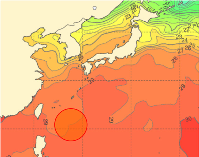 붉은색 원이 현재 열대저압부가 위치한 해역. 수온이 29도 안팎으로 태풍이 발달하기 좋은 환경이다.