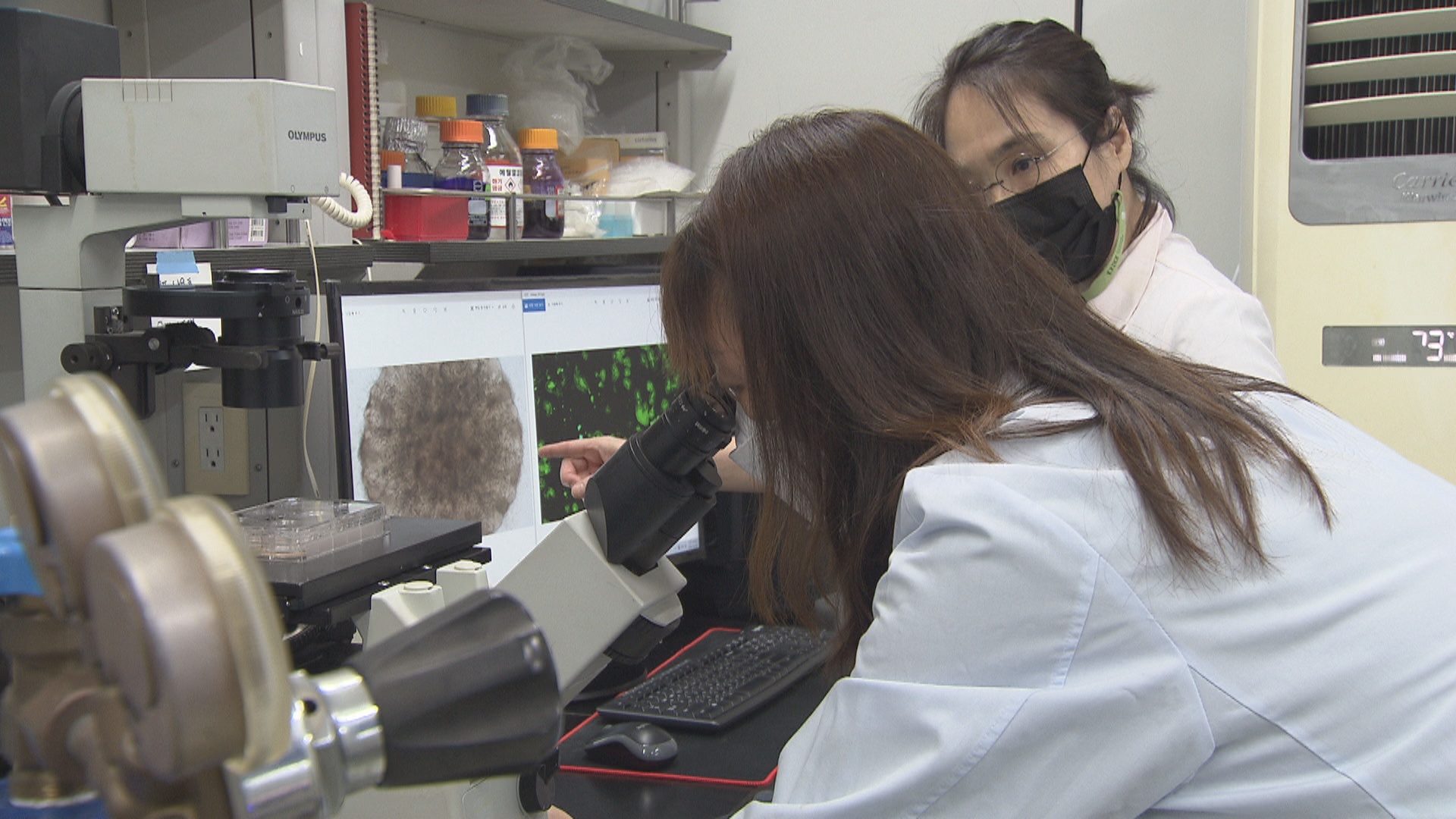 한국생명공학연구원 줄기세포융합연구센터 정초록 박사팀이 생체모사 세포배양시스템 등을 연구하고 있다.